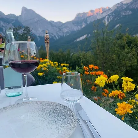 Hotel Vidis Boutique *