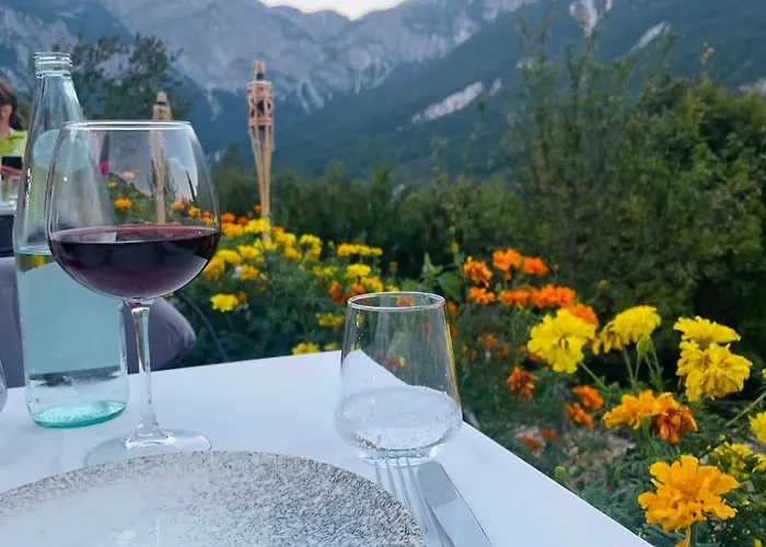 Hotel Vidis Boutique *